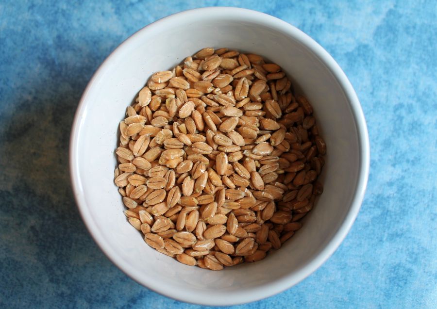 Bunte Gemüsepfanne mit Kochdinkel &amp;quot;Dinkelino&amp;quot; - stettfelder-muehle.de